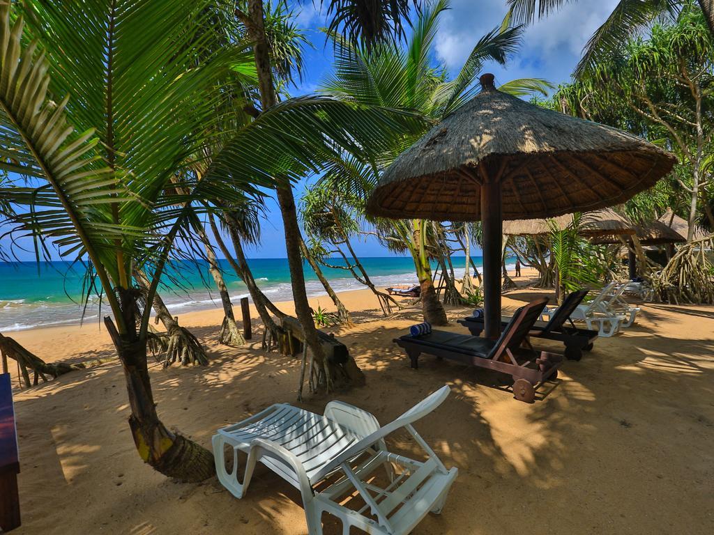 Thejan Beach Cabanas Bentota Ngoại thất bức ảnh